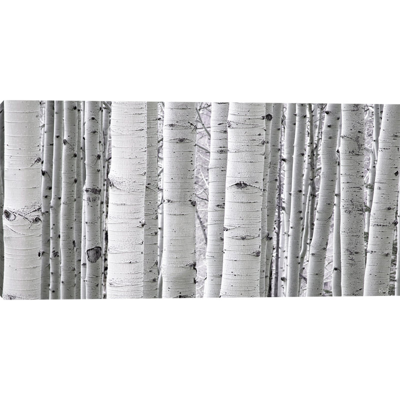 Toile tendue Aspen