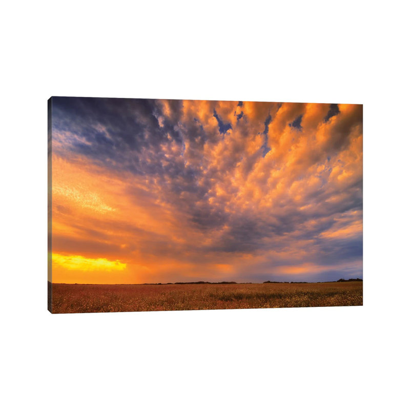 Canada, Manitoba, Inglis by Jaynes Gallery - Wrapped Canvas Print, 30.48cm H x 45.72cm W x 1.905cm D