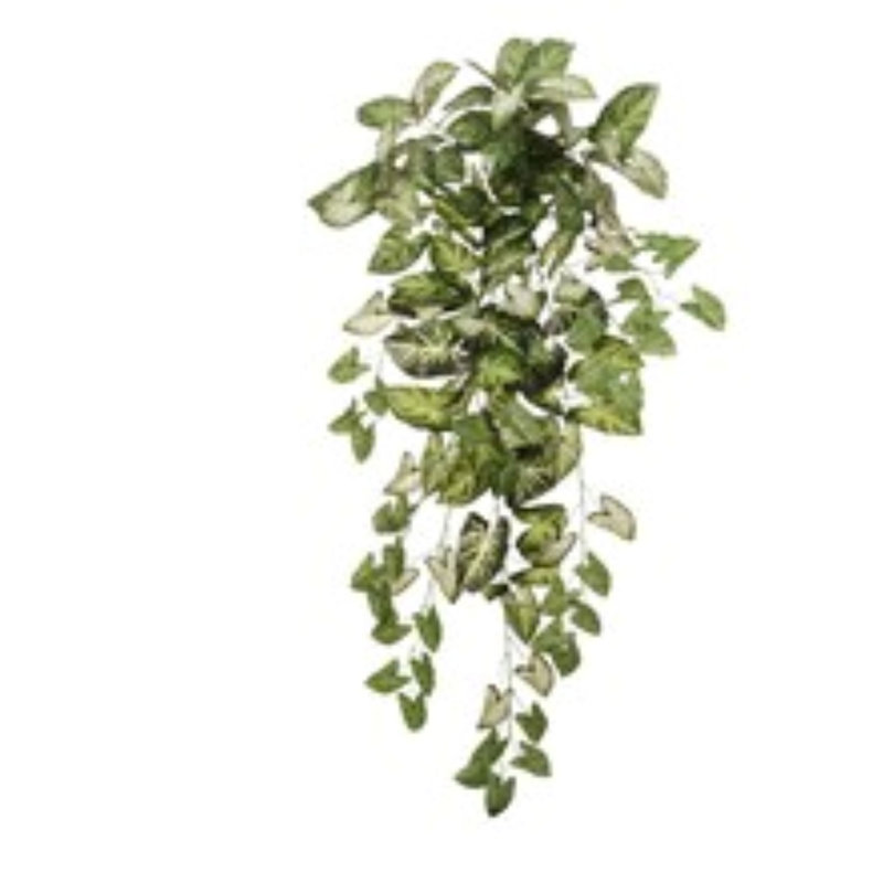 12 pièces de suspension suspendue Nephtytis 36 "- 2025 Spring Collection