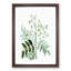 Japanese Pagoda Tree by Pierre-Joseph Redoute - Picture Frame Graphic Art Print-55609926-55609925