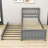 Comyns Twin Platform Bed with Trundle-1593271466