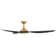 Hinkley Talon LED Ceiling Fan