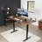VIVO Electric Dual Motor 71” x 30” Standing Desk, E2B7B Series-87776489