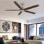 132cm Ceiling Fan with LED Lights