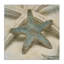 «Starfish» par Ziwei Li - reproduction de photo-715696925-720870847