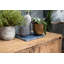 Darmont 180cm Solid Wood Sideboard