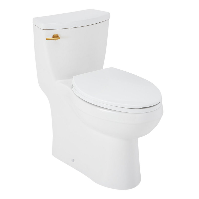 Brinstead One-Piece Elongated Skirted Toilet - Brushed Gold Handle, Brushed Gold