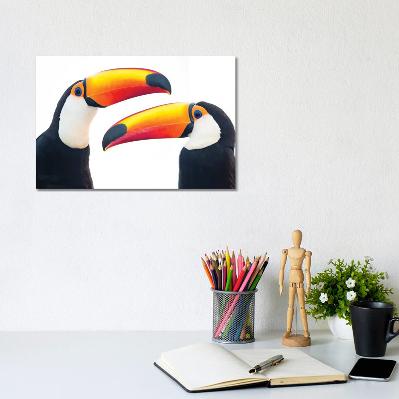 Portrait Of Toco Toucan, Mato Grosso, Brazil - Wrapped Canvas Print, 20.32 cm H x 30.48 cm W