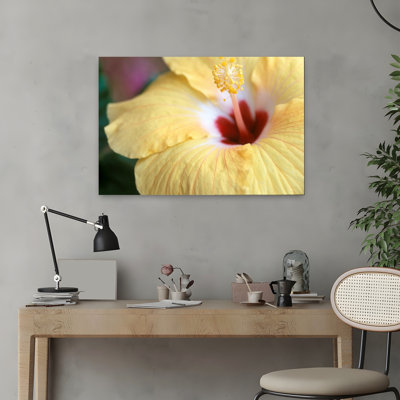 Hibiscus 1 Piece Wrapped Canvas Wall Art