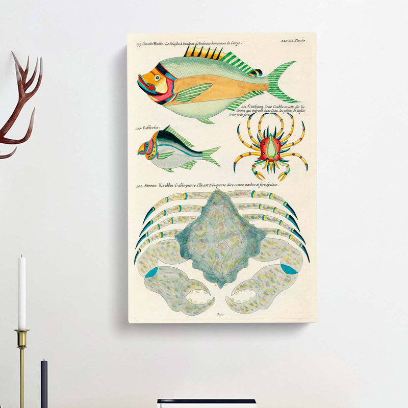 East Indies Fish & Crab Illustrations XLVIII by John Edward Gray - Wrapped Canvas, 76cm H x 50cm W x 3cm D