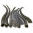Natural Springbok Horns (Set of 2/Left And Right)