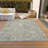 Machine Washable Indoor/Outdoor Xhevrie Gray Rug-1702561506
