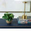 Blooms Pilea Plant In Terracotta Bowl
