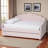 Mitsugu Modern Queen Size Velvet Fabric Daybed in Pink, 45.73'' H X 86.35'' L X 65.54'' W -1285599510