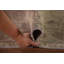 Tapis traditionnel rétro 6 x 9