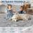 2x6 Washable Floral Runner Rug, Non-Slip, Low-Pile, Scalloped Pattern for Kitchen, Hallway, Laundry, Bathroom, Green-1057712809