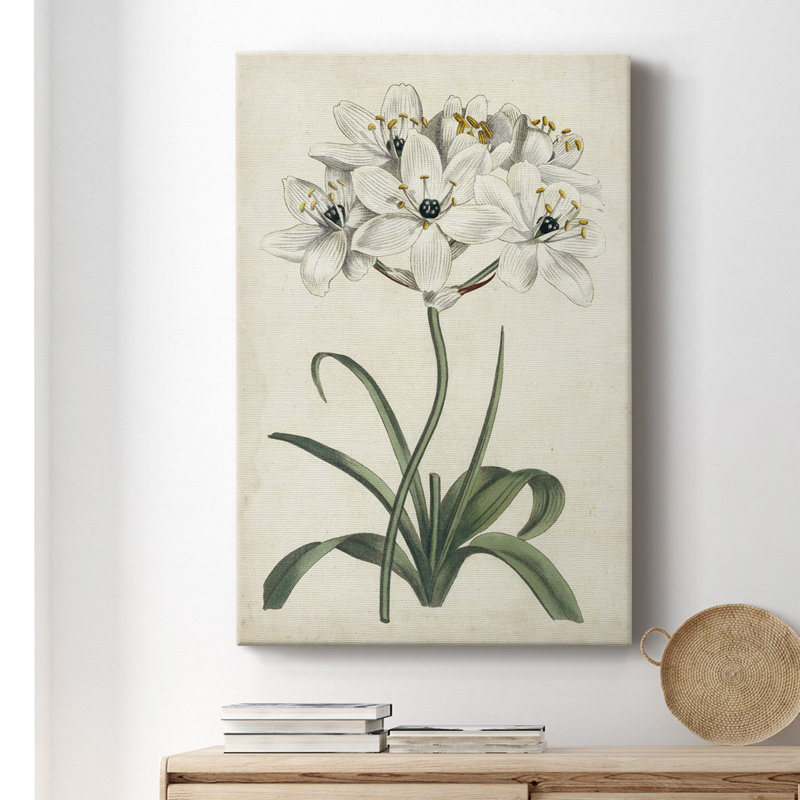 «Garden V», impression sur toile tendue, H 12 po x l 8 po x P 1 po