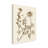 " Sepia Nature Study IV " by Vision Studio-33520731