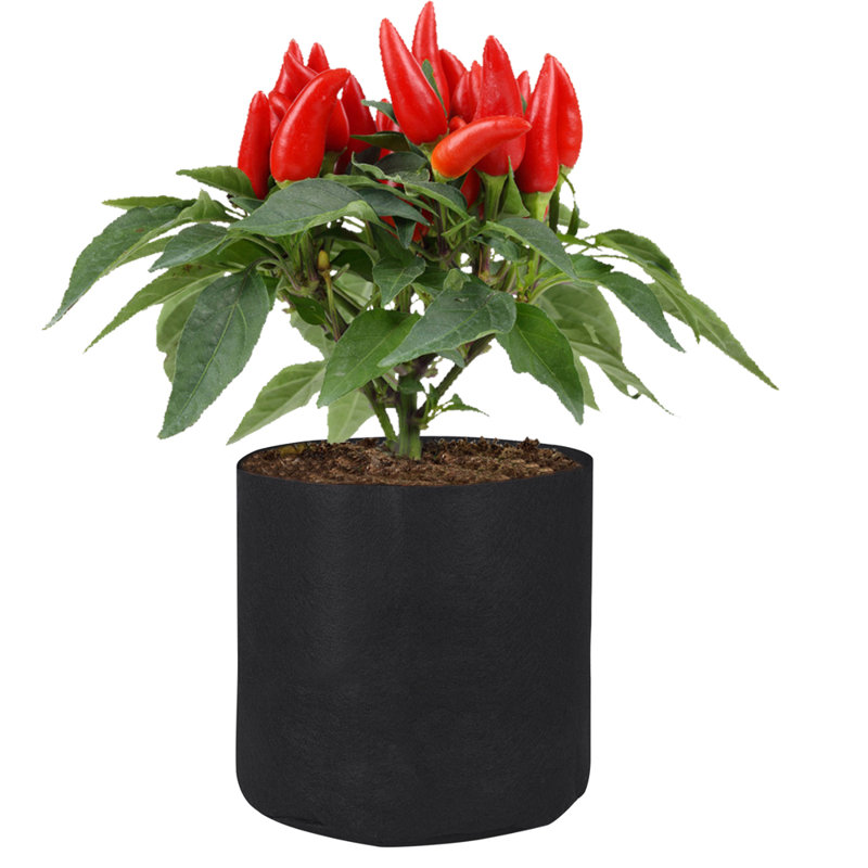 Pot de 10 pièces en plastique Anielka, H 6 po x l 7,1 po x P 7,1 po