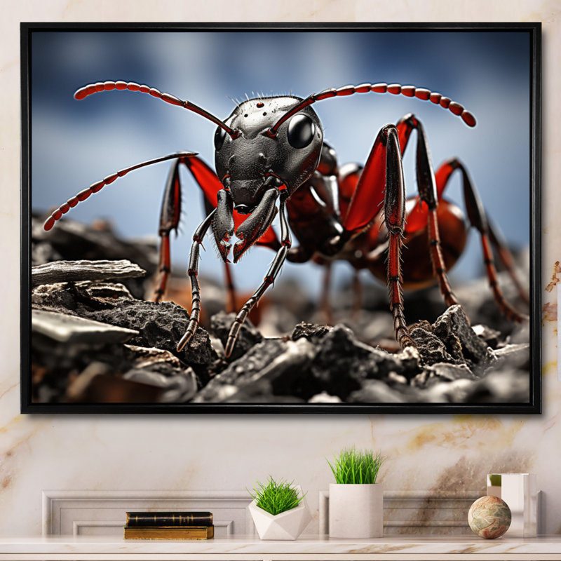 Fourmi travailleuse II - reproduction sur toile, Cadre flottant noir, H 24 po x l 32 po x P 1 po