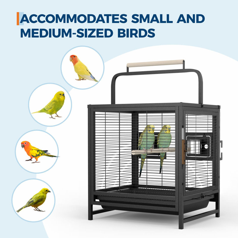 25.6cm Stainless Steel Flight Cage