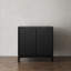 Armoire d'appoint en bois d'hévéa à 2 portes-1447514024