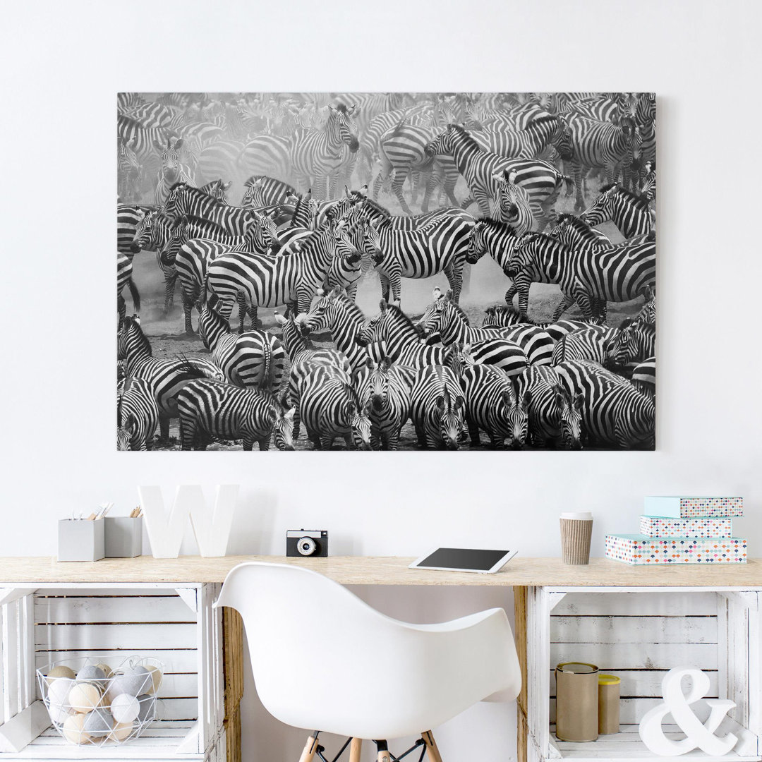 Leinwandbild Zebra Herd II