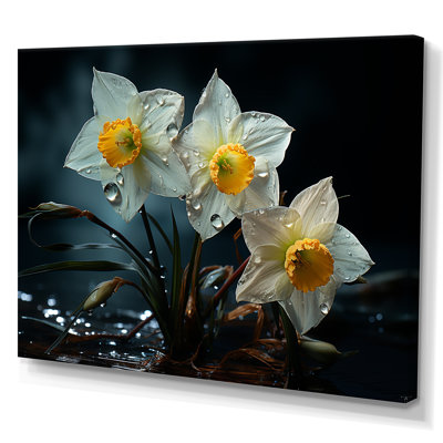 «Dewy Daffodils At Sunrise I», reproduction sur toile