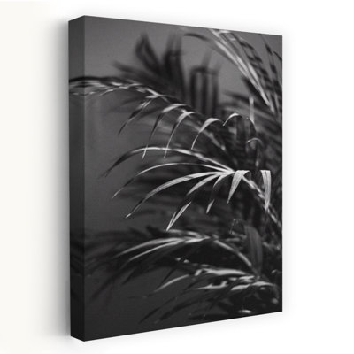 Art contemporain plante noire