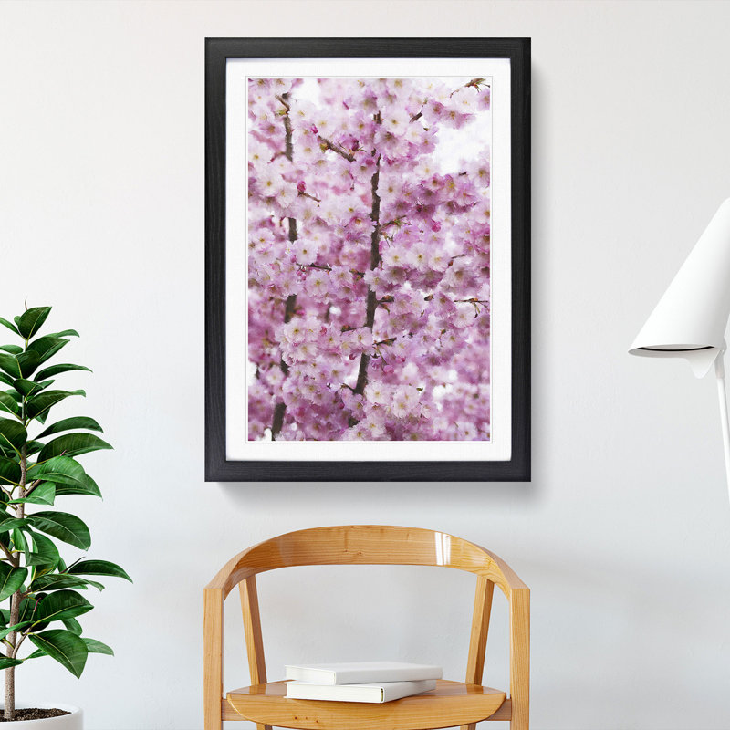 Pink Cherry Blossom Flowers Vol.2 - Picture Frame Graphic Art, 65cm H x 48cm W x 2cm D, Black Framed