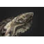 Black/White/Orange Iguana Sculpture