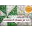 Kepler Cotton Patchwork Rectangle Placemat