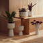 Nappula Ceramic Pot Planter-79186583