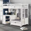 Imhotep Loft Bed With Bookcase