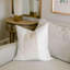 Ensemble de 2 housses de coussin en velours-116784279-116784282