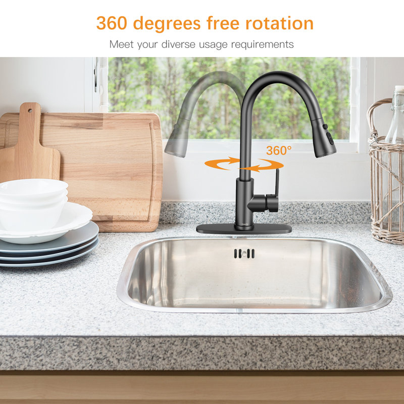 Miuer Pull Out Kitchen Faucet, Black