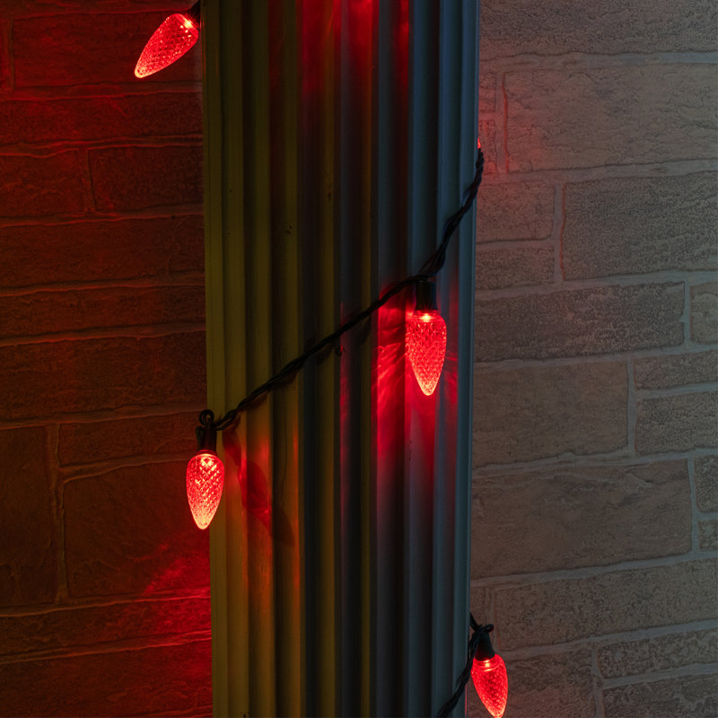 C9 LED Christmas String Light, Red, 17' L, 25