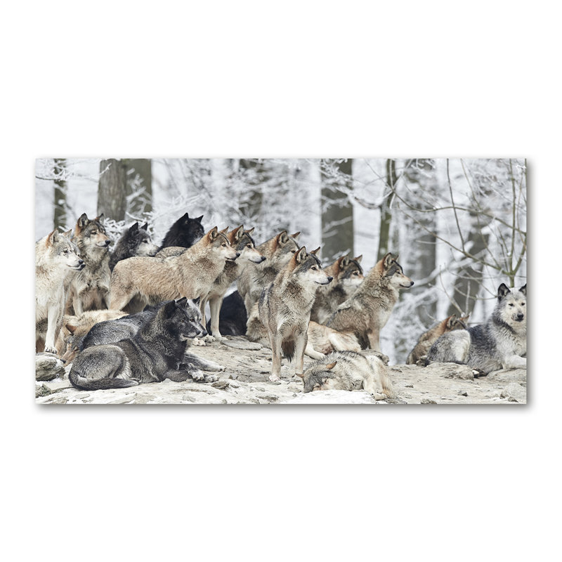 Franta 50cm W x 100cm L Glass Peel and Stick Panel