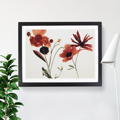 Entrancing Flowers - Framed Print