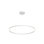 Cerchio 1 - Light LED Unique/Statement Pendant