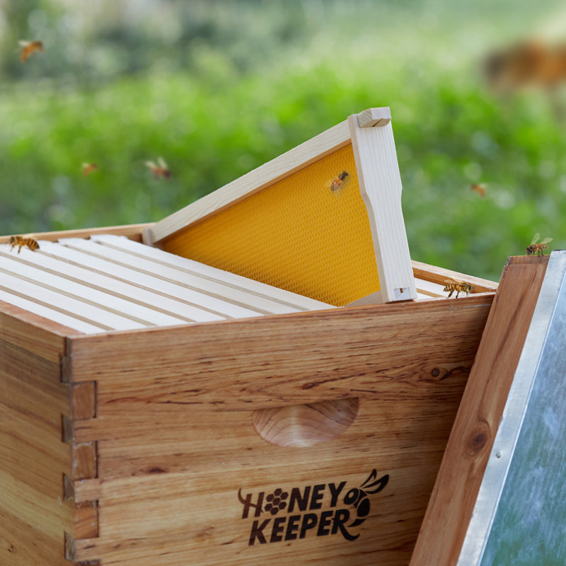 Honey Keeper 10-Pack Natural Waxed Beehive Frames with Wooden Construction