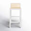 McCarthy Cane Bar & Counter Stool-1825297041-1778590056