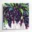 «Fruit Acai Berry», art mural sur toile mauve-135778818