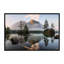 Reproduction de photo sur une photo, "réveil de la nature" par daniel f.-49906002-49906013