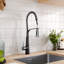 Belfry Kitchen Dunfee Pull Out Kitchen Faucet-453450915
