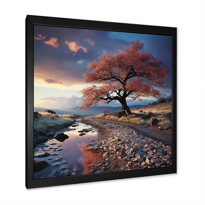 Arbre, arc-en-ciel, paysage d'hiver I, Cadre simple noir, H 24 po x l 24 po x P 1 po