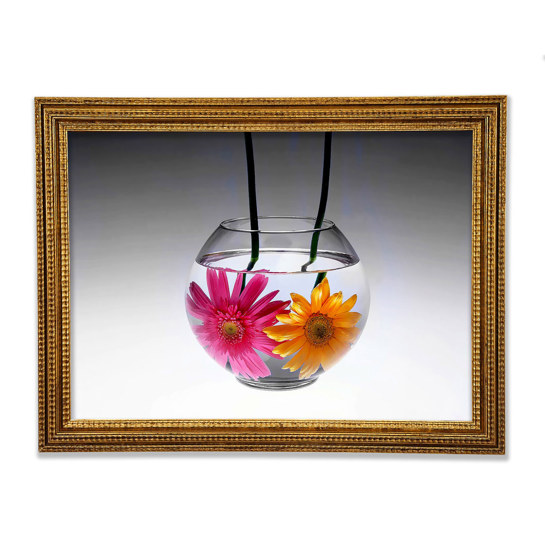 Gerbera Fishbowl B N W - Druck