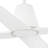 Typhoon Ceiling Fan