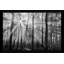 Breaking Through - photographie-818274888-818274933