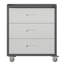 Armoire de rangement en métal robuste avec roulettes - Armoire à outils à 3 tiroirs pour solutions de rangement de garage, de bureau et de maison, noir / gris-833955220